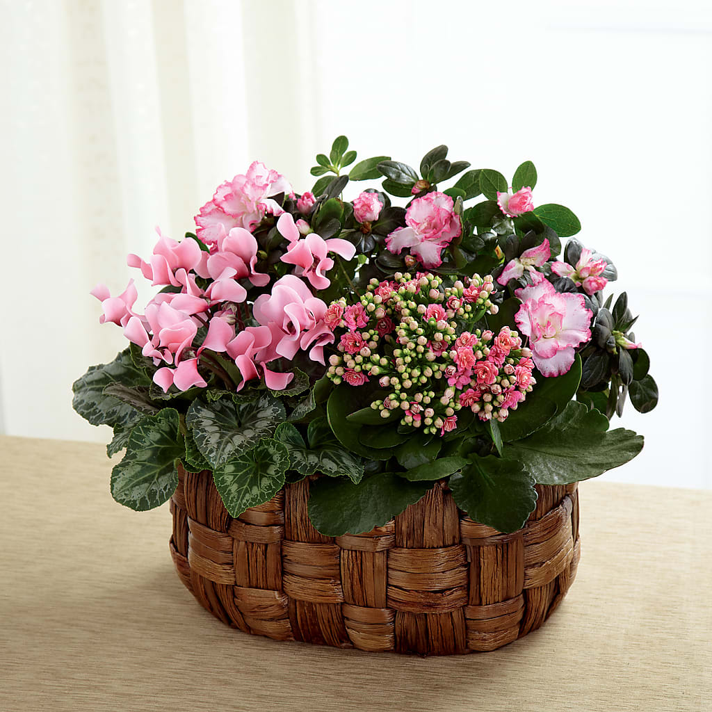 Pink Assortment – Flowers Unlimited, Martinsburg WV