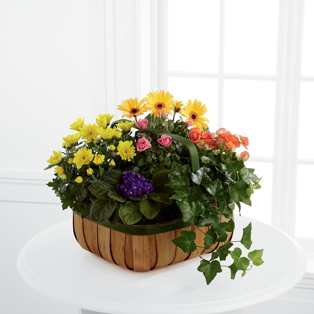 Gentle Blossoms Basket – Flowers Unlimited, Martinsburg WV
