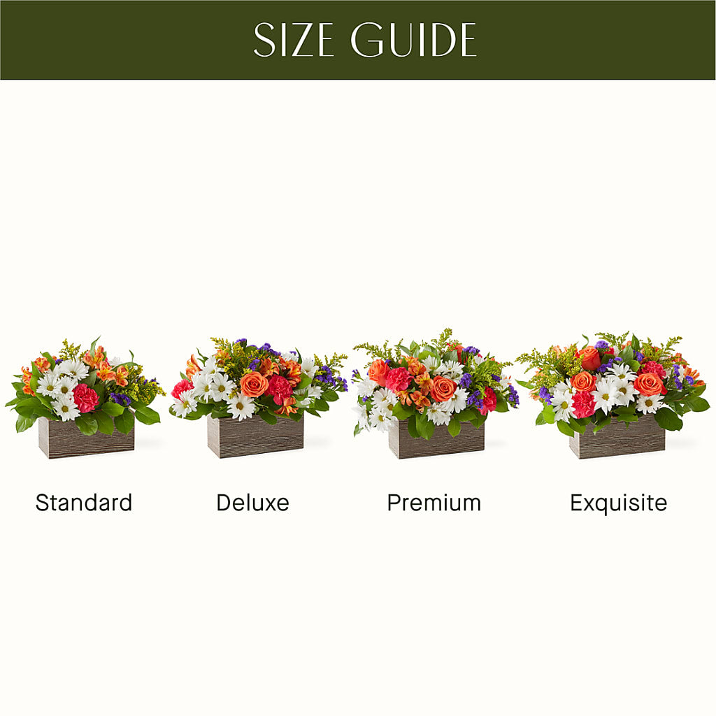 Oopsie Daisy Box Bouquet – Flowers Unlimited, Martinsburg WV