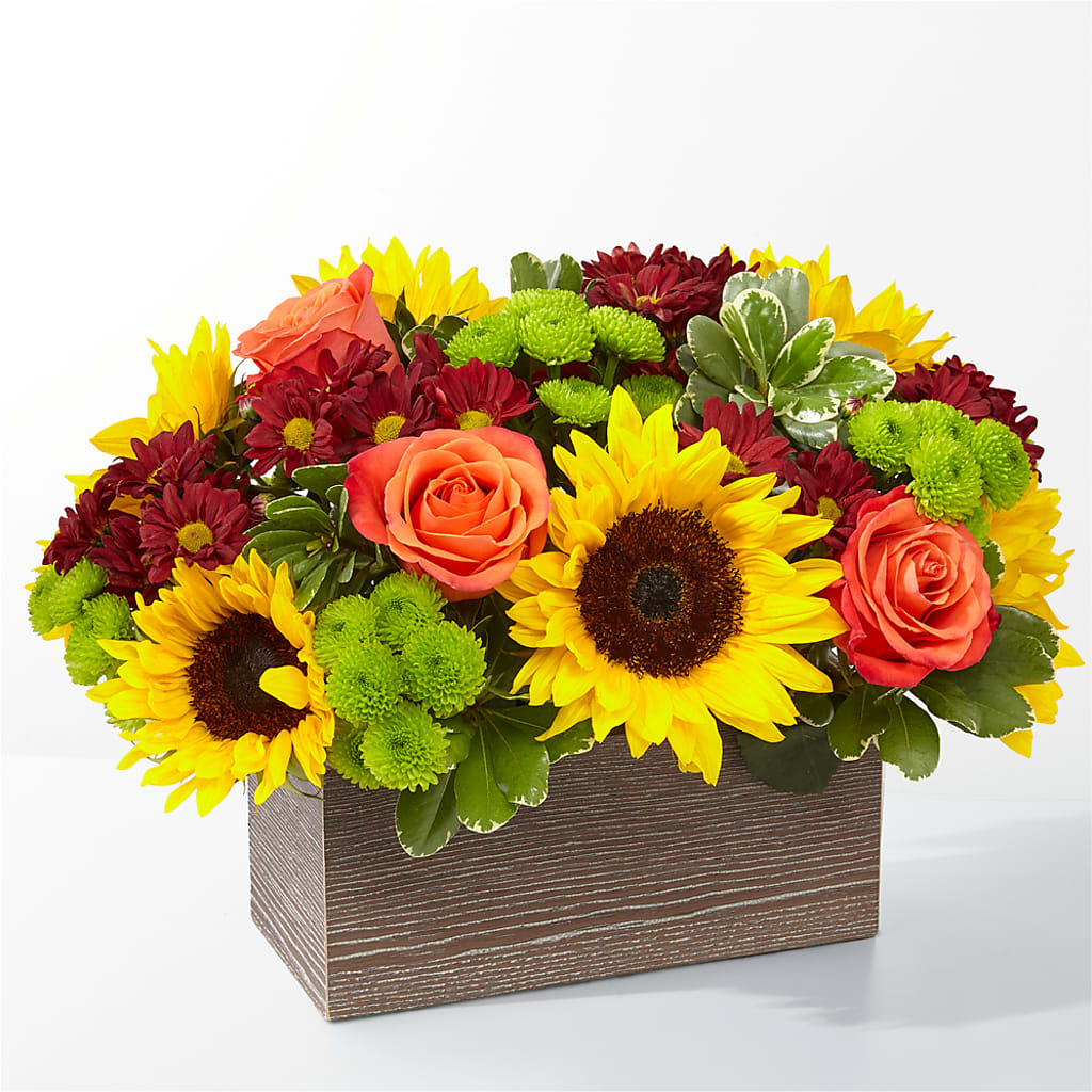 Happy Harvest Garden – Flowers Unlimited, Martinsburg WV