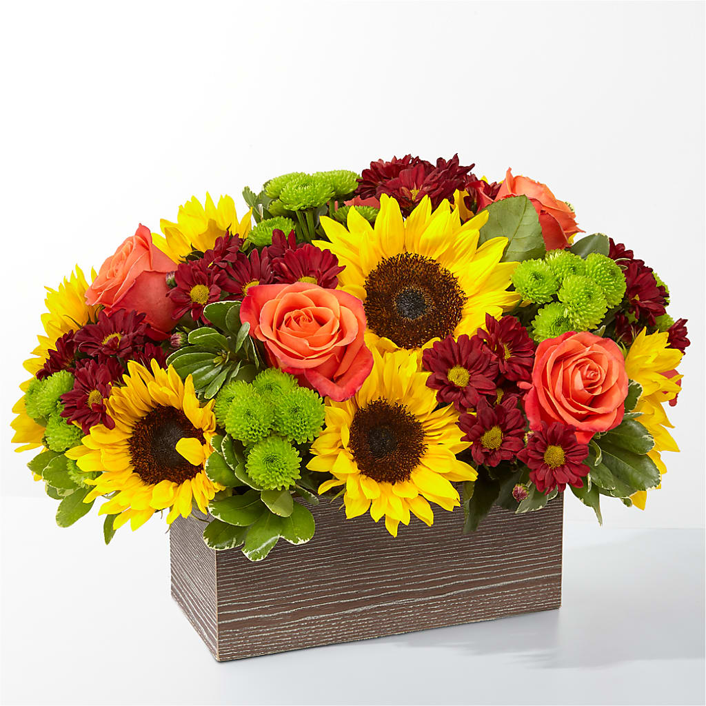 Happy Harvest Garden – Flowers Unlimited, Martinsburg WV