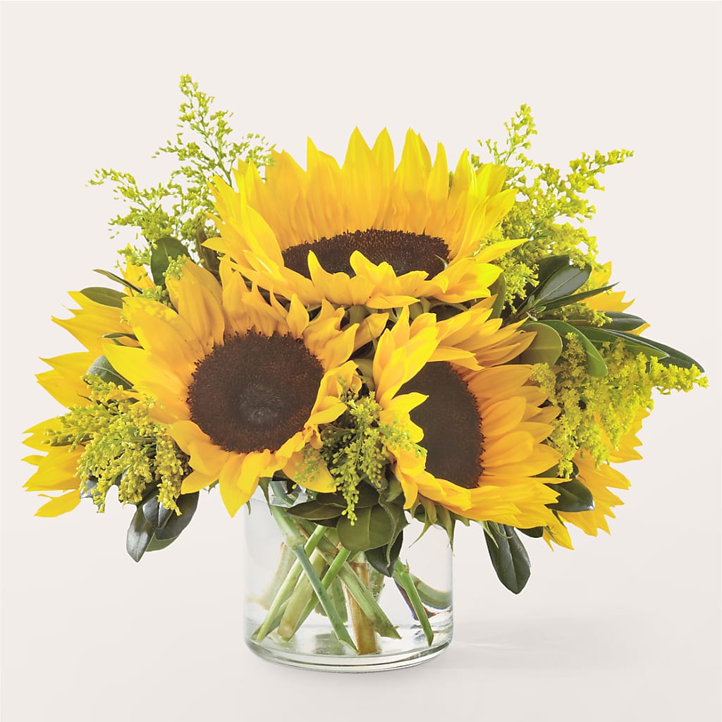 Beaming Sunflower Bouquet – Flowers Unlimited, Martinsburg WV