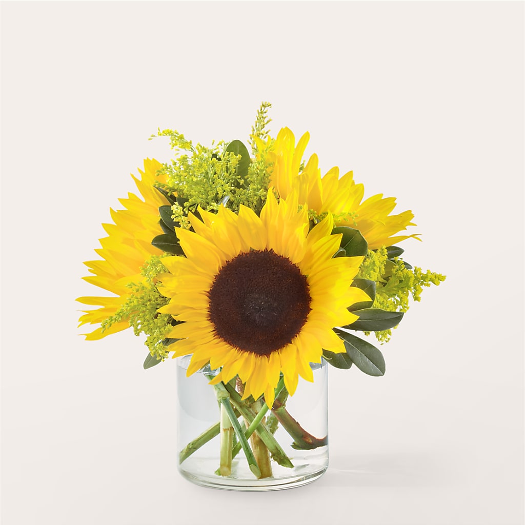 Beaming Sunflower Bouquet – Flowers Unlimited, Martinsburg WV