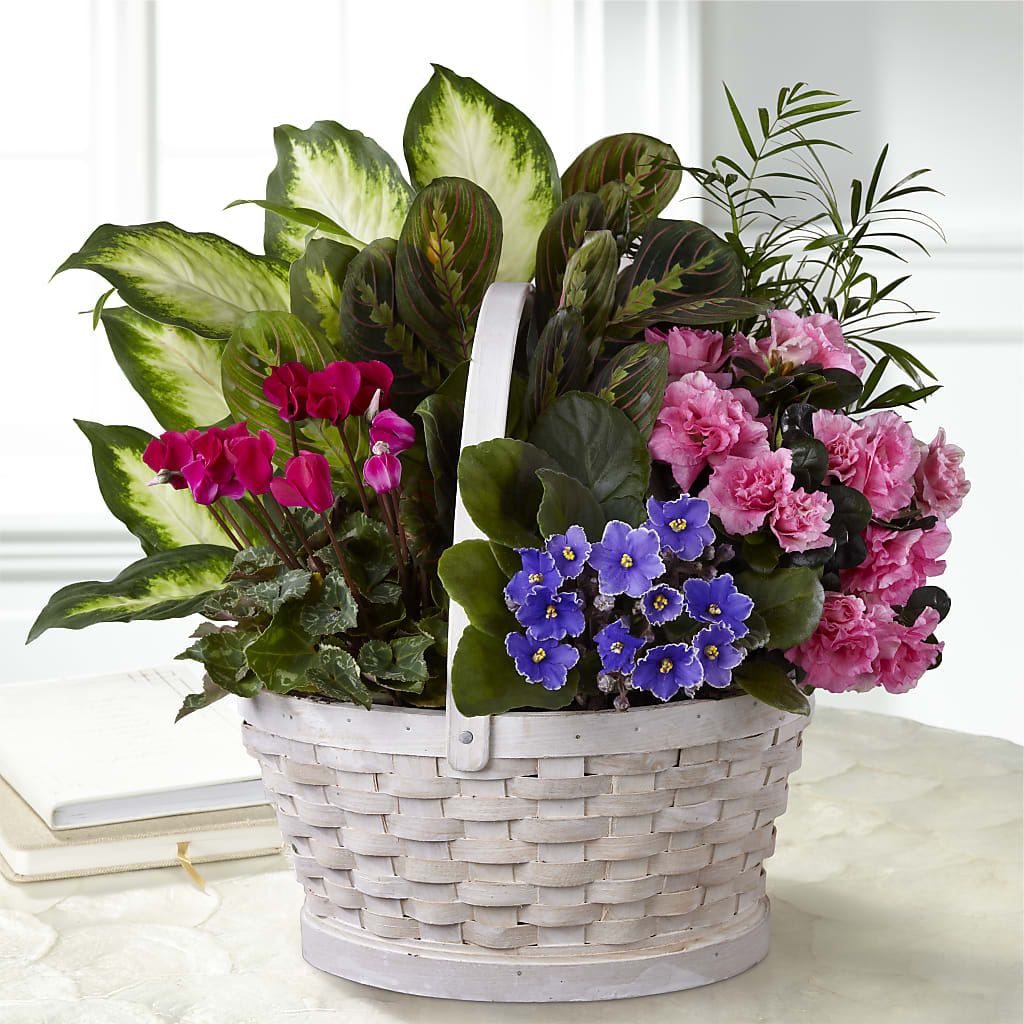 Peaceful Garden Planter – Flowers Unlimited, Martinsburg WV
