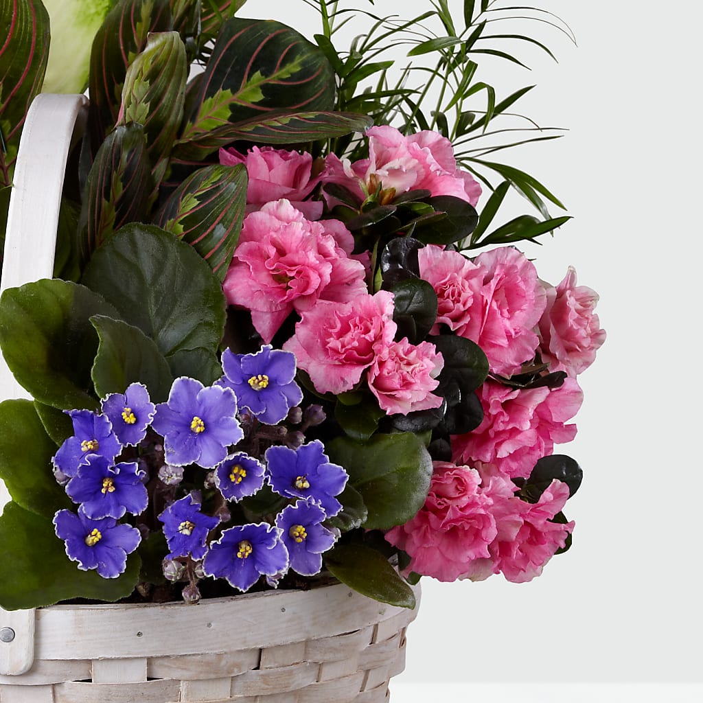 Peaceful Garden Planter – Flowers Unlimited, Martinsburg WV