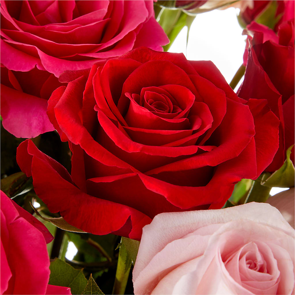 Love Notes Rose Bouquet – Flowers Unlimited, Martinsburg WV