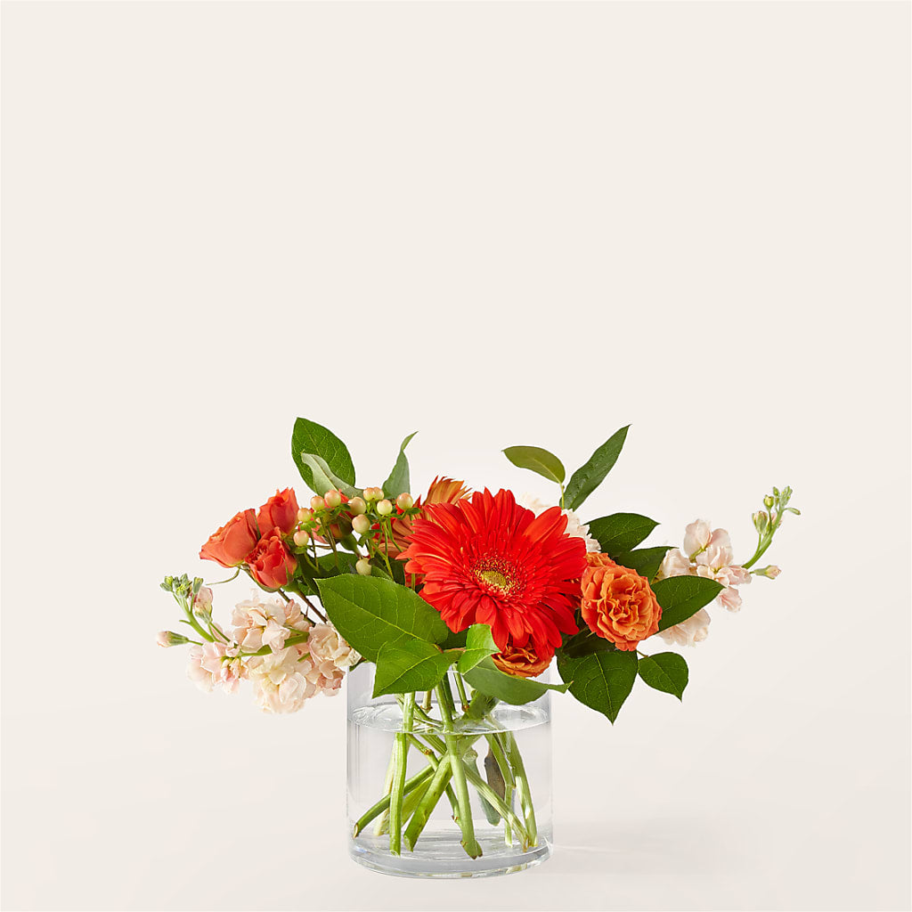 Paloma Please Bouquet – Flowers Unlimited, Martinsburg WV