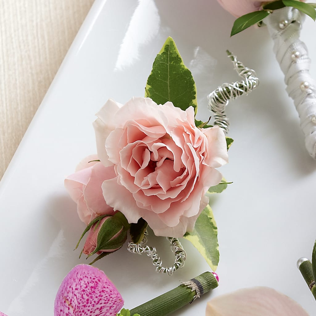 Pink Spray Rose Boutonniere – Flowers Unlimited, Martinsburg WV