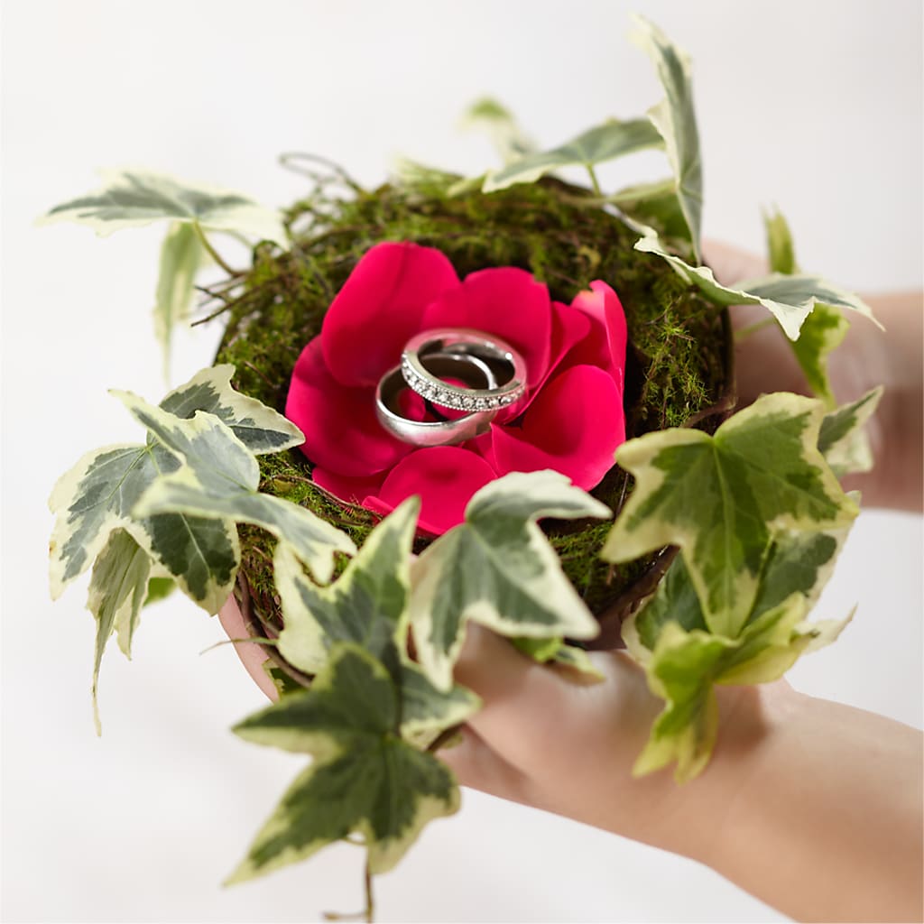 Lila Rose Ring Nest – Flowers Unlimited, Martinsburg WV