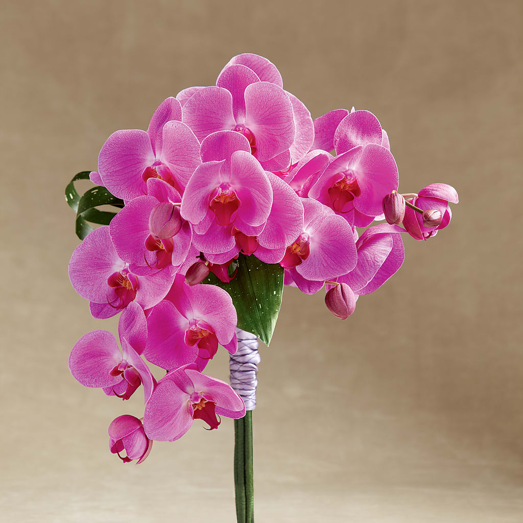 Glorious Bouquet – Flowers Unlimited, Martinsburg WV