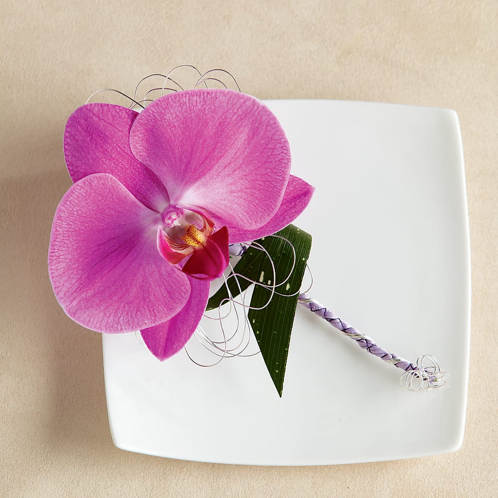 Glorious Boutonniere – Flowers Unlimited, Martinsburg WV