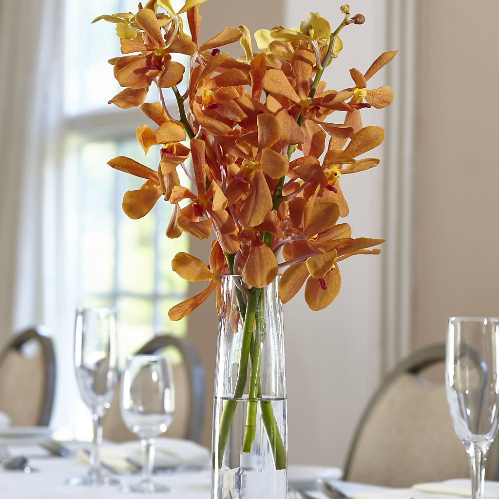 Orange Mokara Bud Vase – Flowers Unlimited, Martinsburg WV