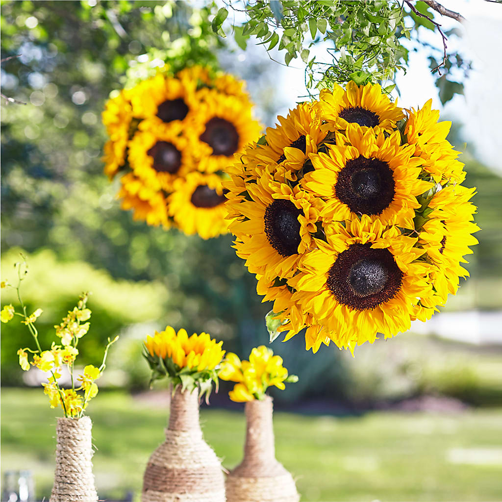 Sublime Garden Hanging Arrangement – Flowers Unlimited, Martinsburg WV
