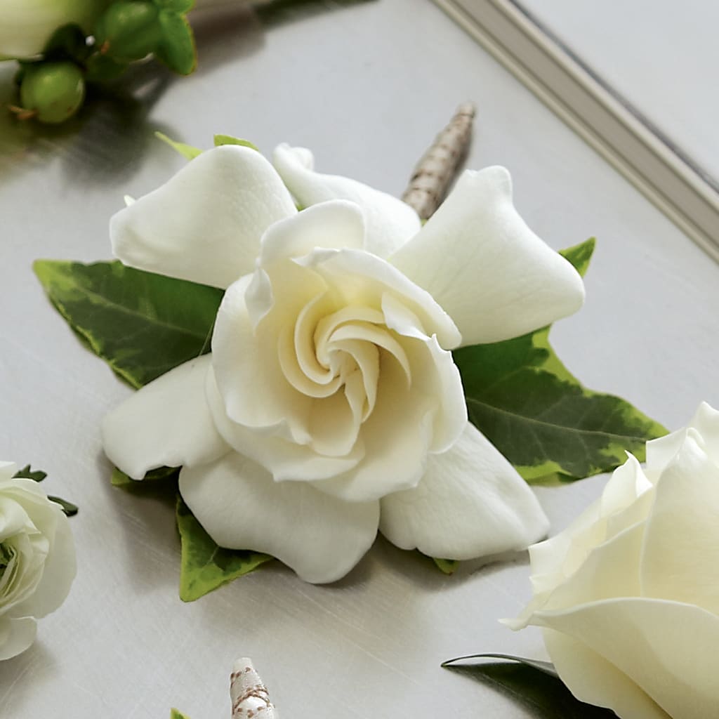 Gardenia Boutonniere – Flowers Unlimited, Martinsburg WV