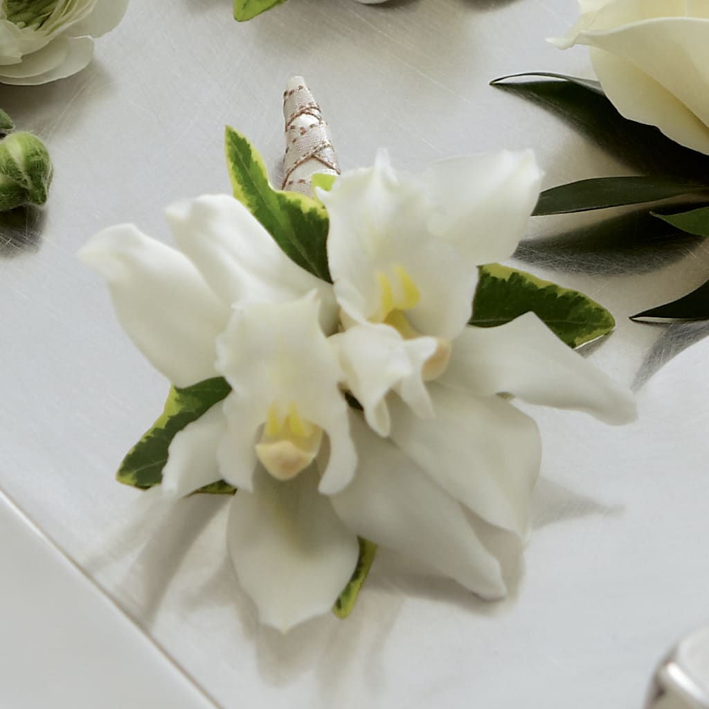 White Mini Cymbidium Boutonniere – Flowers Unlimited, Martinsburg WV