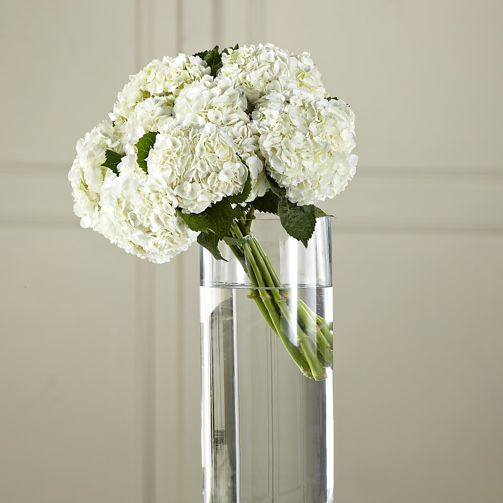 White Hydrangea Hand-Tied Bouquet – Flowers Unlimited, Martinsburg WV