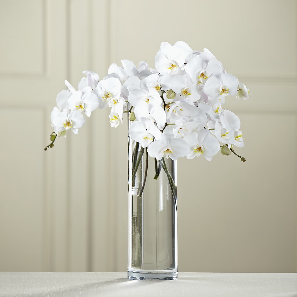 White Phalaenopsis Bouquet – Flowers Unlimited, Martinsburg WV