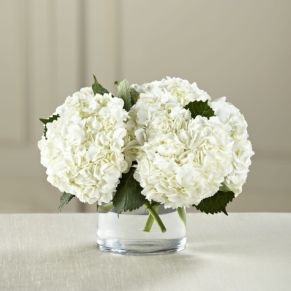 White Hydrangea Bouquet – Flowers Unlimited, Martinsburg WV