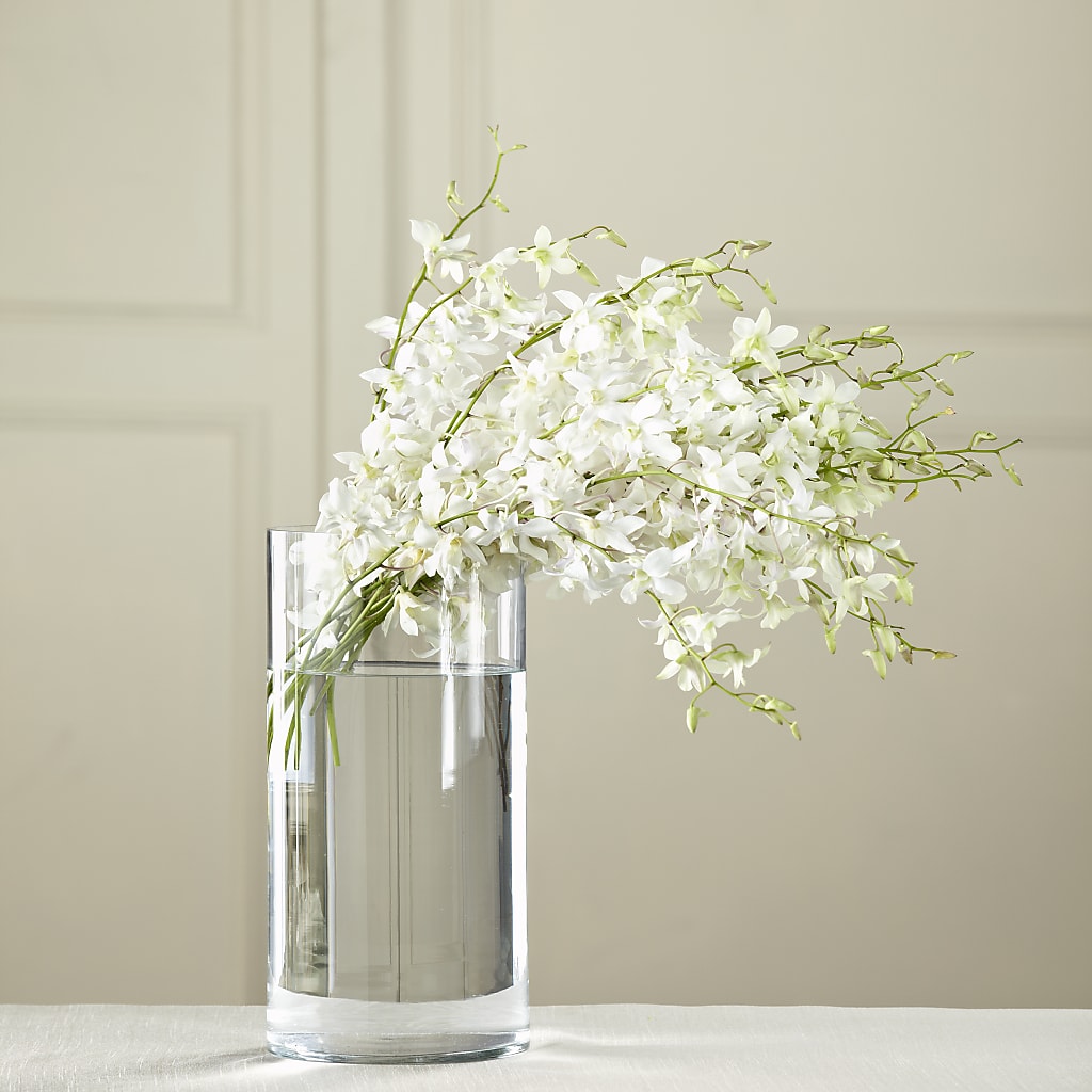 White Dendrobium Bouquet – Flowers Unlimited, Martinsburg WV