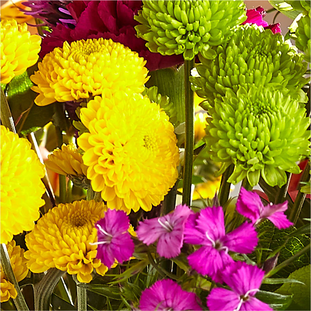 Bold & Bright – A Florist Original –  Flowers Unlimited, Martinsburg WV