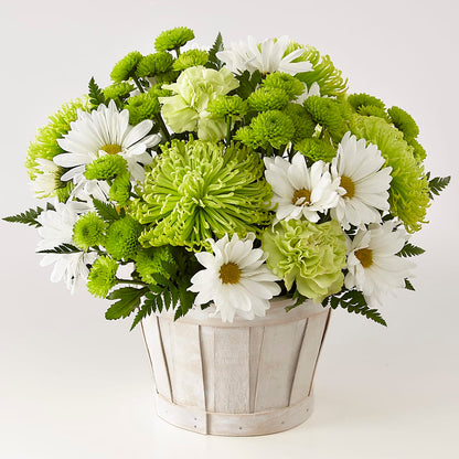 Lucky Charm Basket (Standard) –  Flowers Unlimited, Martinsburg WV