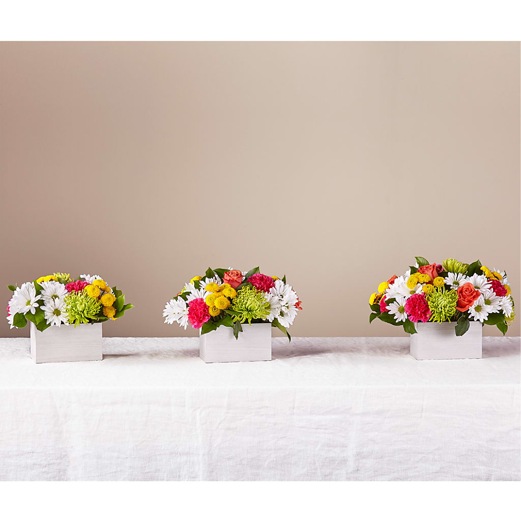 Sorbet Bouquet –  Flowers Unlimited, Martinsburg WV