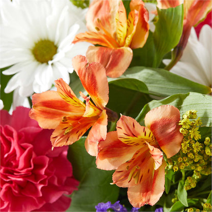 Oopsie Daisy Box Bouquet –  Flowers Unlimited, Martinsburg WV