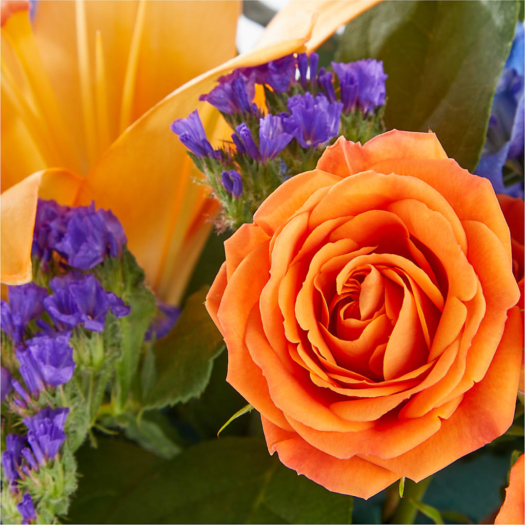 Radiant Citrus Box Bouquet –  Flowers Unlimited, Martinsburg WV