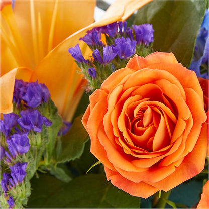 Radiant Citrus Box Bouquet –  Flowers Unlimited, Martinsburg WV