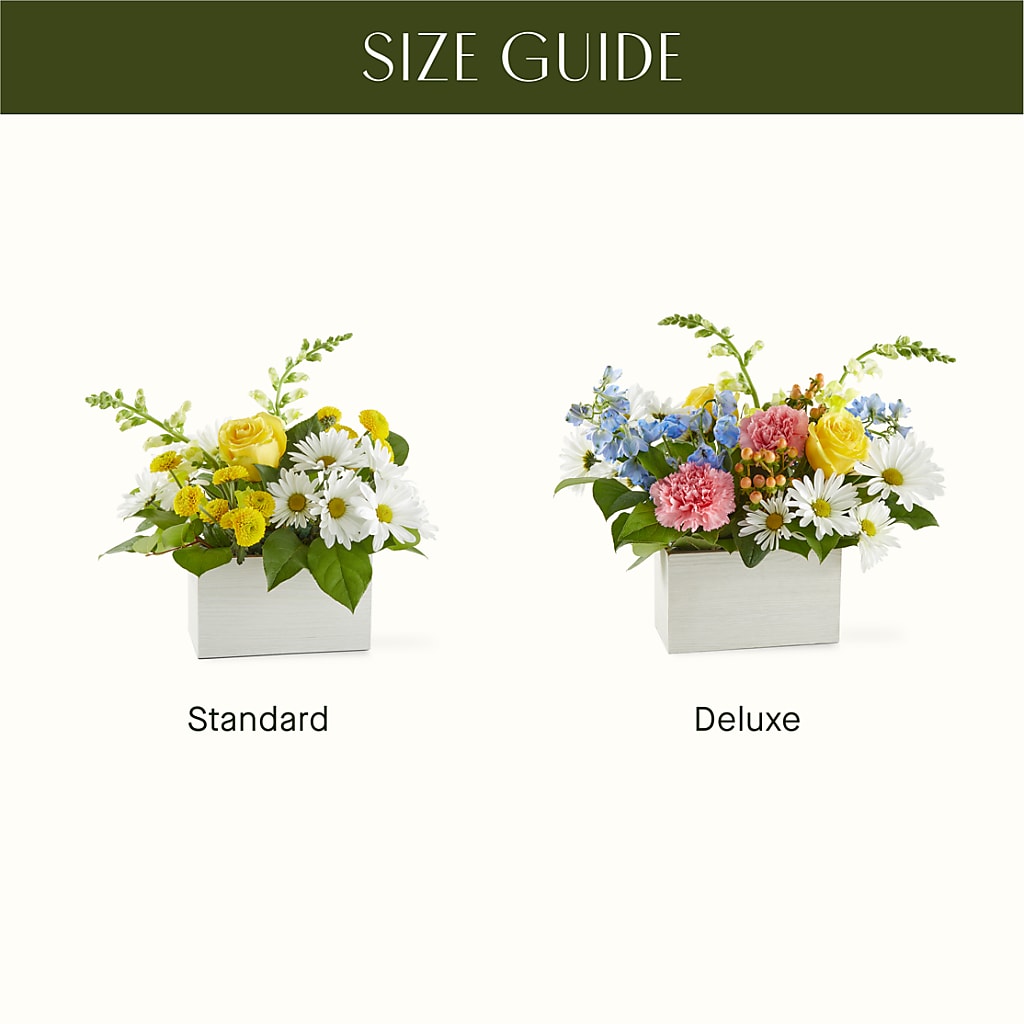Sun Salutation Box Bouquet –  Flowers Unlimited, Martinsburg WV