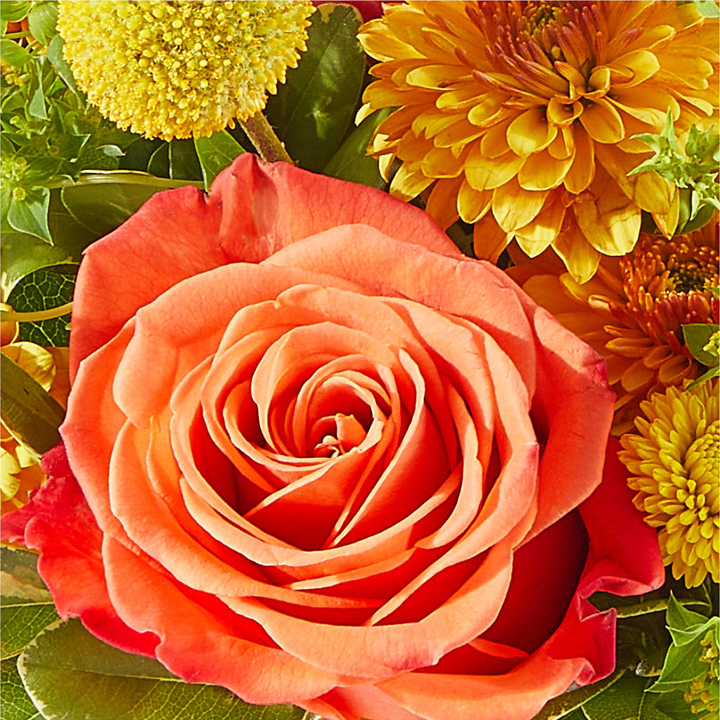 Gourdgeous Pumpkin –  Flowers Unlimited, Martinsburg WV