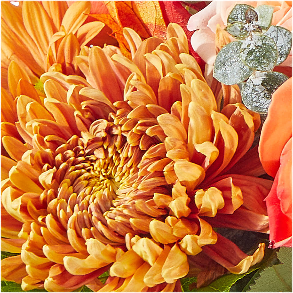 Scenic Route Bouquet –  Flowers Unlimited, Martinsburg WV