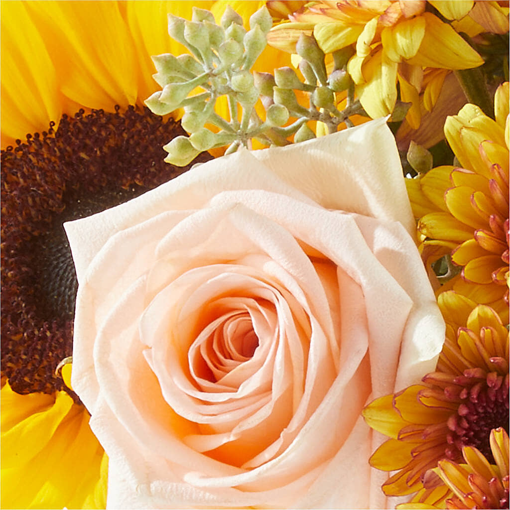 Pumpkin to Talk About Bouquet –  Flowers Unlimited, Martinsburg WV