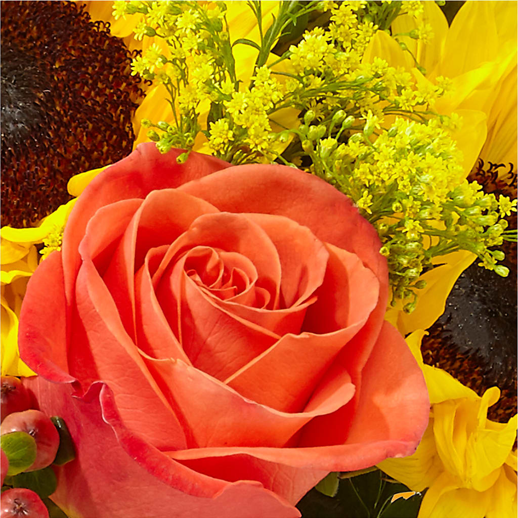 Pick of the Patch Pumpkin Bouquet –  Flowers Unlimited, Martinsburg WV