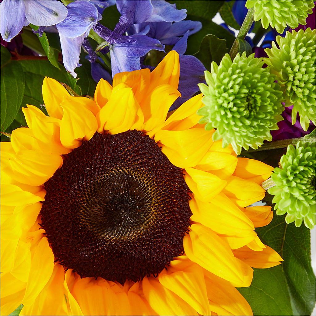Catching Rays Bouquet –  Flowers Unlimited, Martinsburg WV