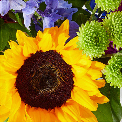Catching Rays Bouquet –  Flowers Unlimited, Martinsburg WV