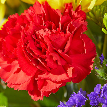 Brighter Days Bouquet –  Flowers Unlimited, Martinsburg WV