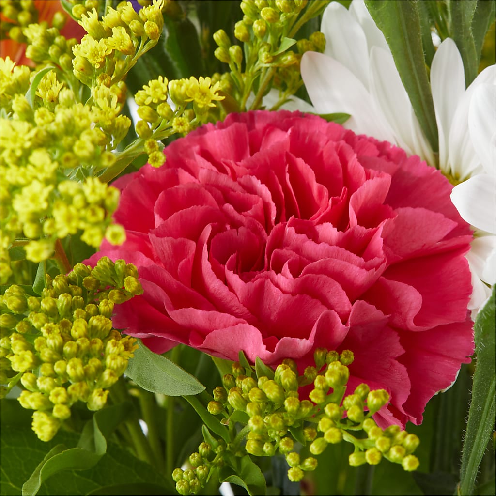 Oopsie Daisy Bouquet –  Flowers Unlimited, Martinsburg WV
