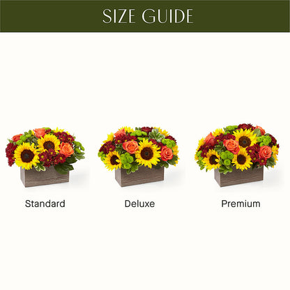 Happy Harvest Garden –  Flowers Unlimited, Martinsburg WV