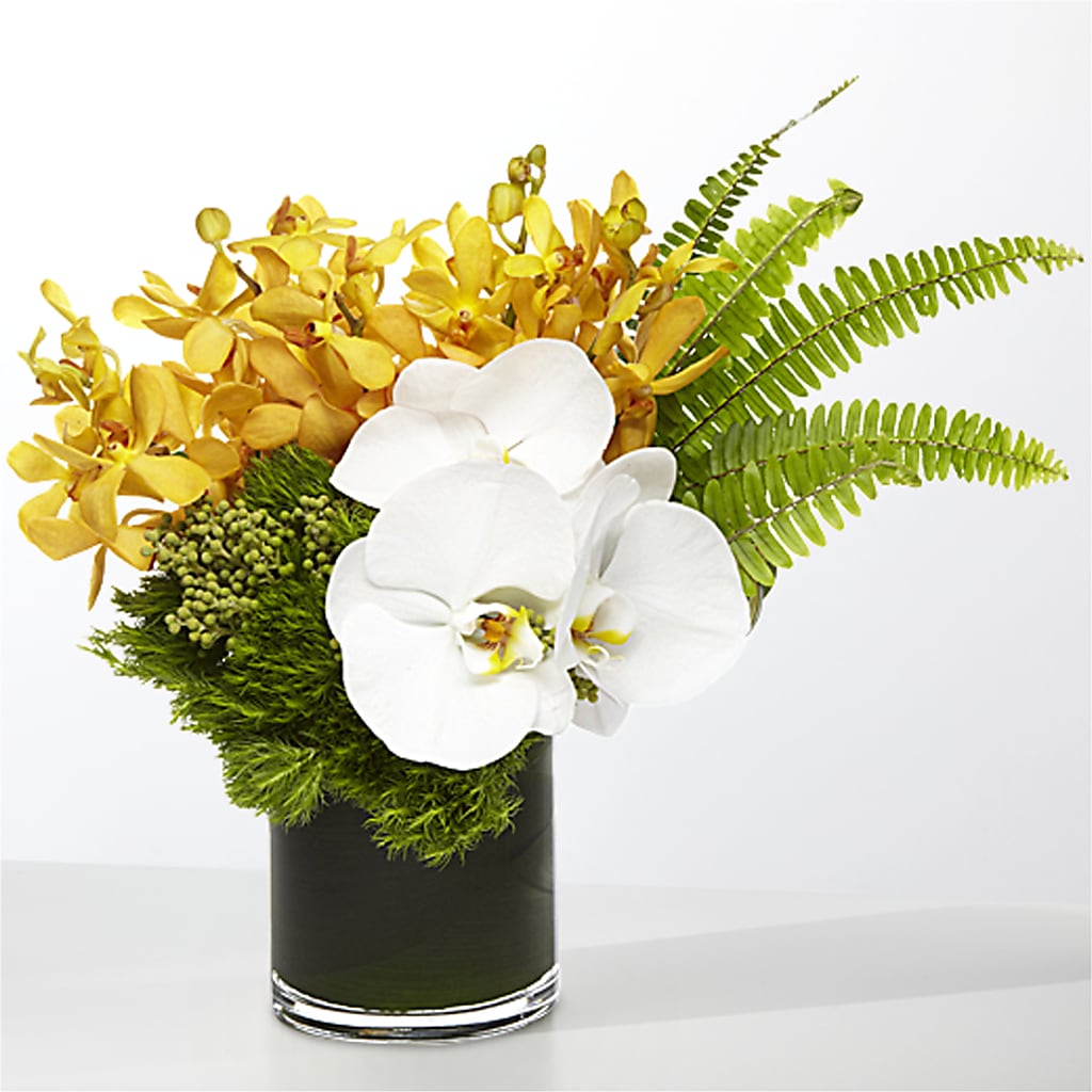 The Tropics –  Flowers Unlimited, Martinsburg WV