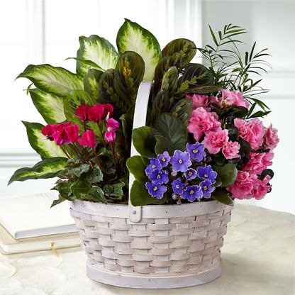 Peaceful Garden Planter –  Flowers Unlimited, Martinsburg WV