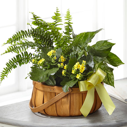 Always Dear Dishgarden –  Flowers Unlimited, Martinsburg WV
