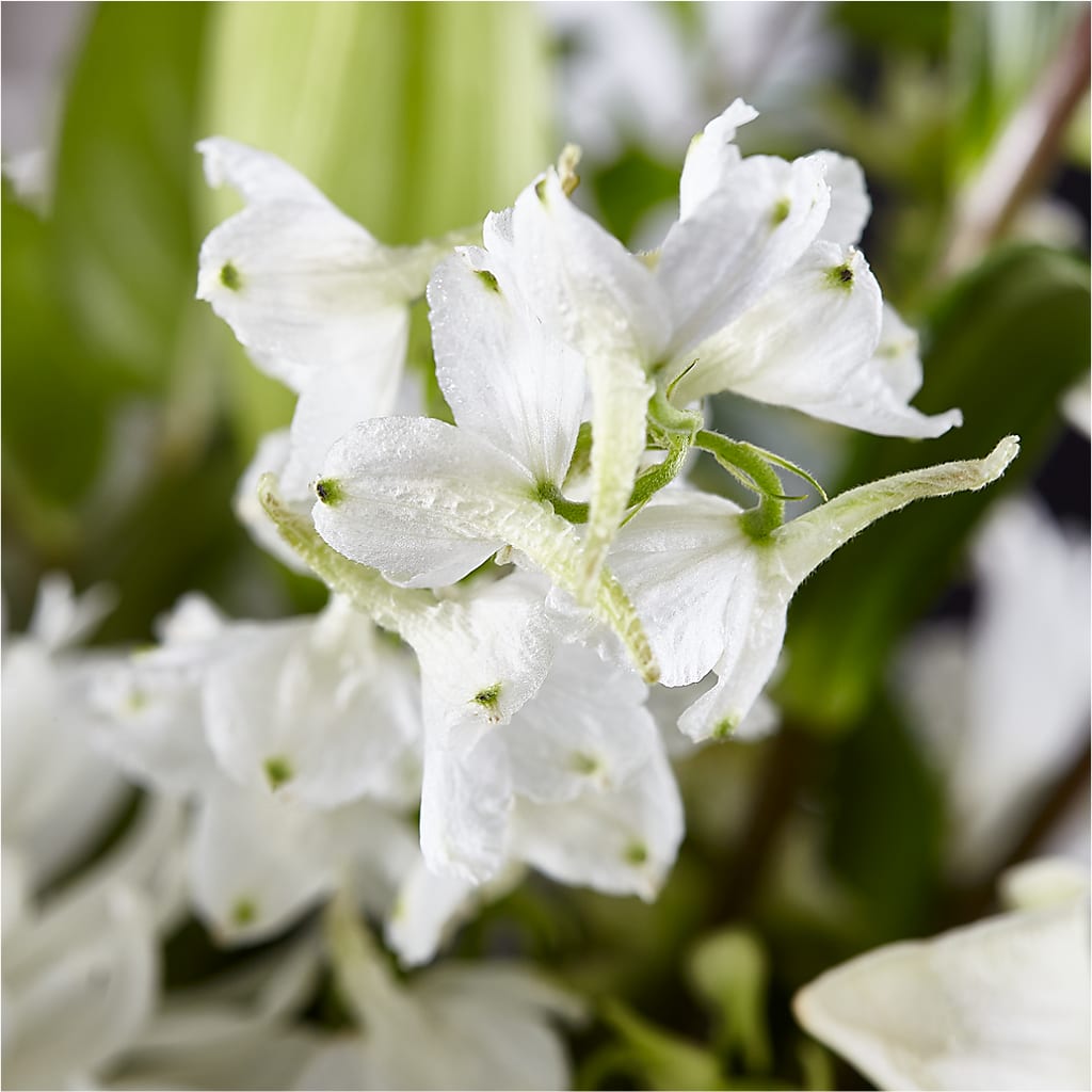 Classic Ivory – A Florist Original –  Flowers Unlimited, Martinsburg WV