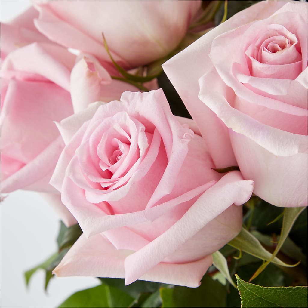 Picture Perfect Pink Rose Bouquet –  Flowers Unlimited, Martinsburg WV