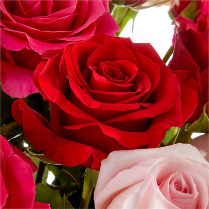 Love Notes Rose Bouquet –  Flowers Unlimited, Martinsburg WV