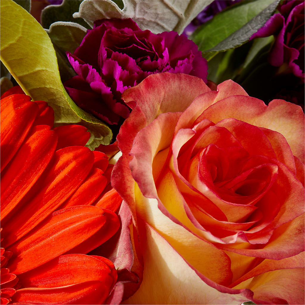 Sangria Bouquet –  Flowers Unlimited, Martinsburg WV