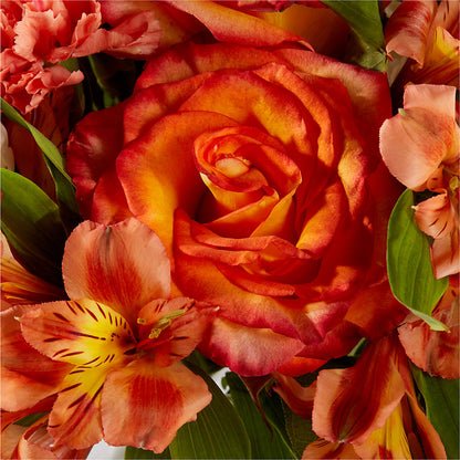 Apricot Glow Bouquet –  Flowers Unlimited, Martinsburg WV