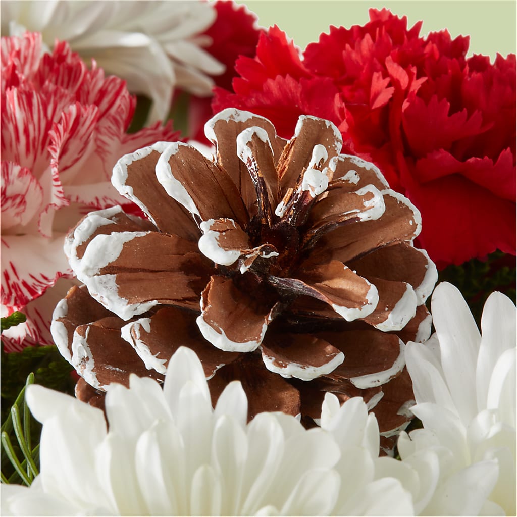 Candy Cane Lane Bouquet –  Flowers Unlimited, Martinsburg WV