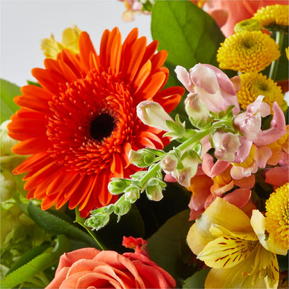 Autumn Sunshine Bouquet –  Flowers Unlimited, Martinsburg WV