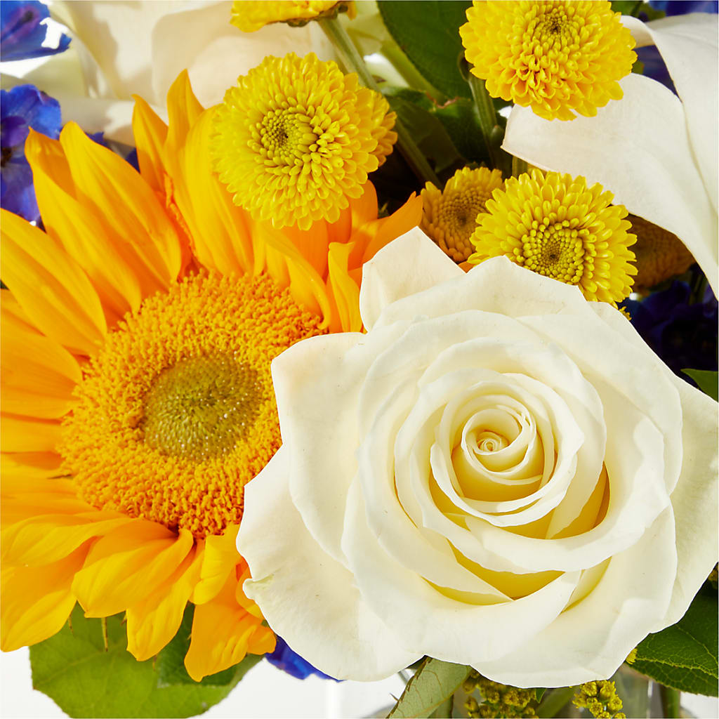Stargazing Bouquet –  Flowers Unlimited, Martinsburg WV